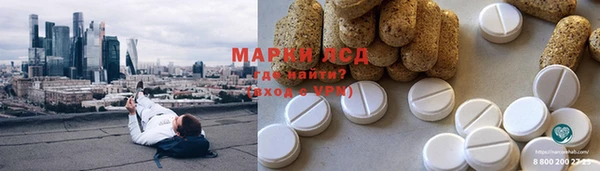 PSILOCYBIN Лабытнанги
