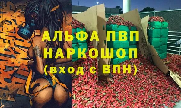 ПСИЛОЦИБИНОВЫЕ ГРИБЫ Лагань