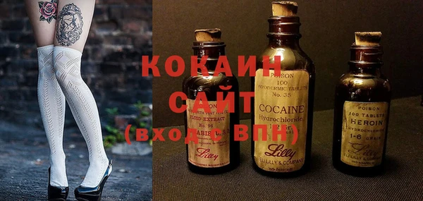 ПСИЛОЦИБИНОВЫЕ ГРИБЫ Лагань