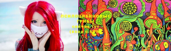 дурь Кулебаки