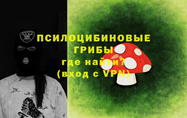 ПСИЛОЦИБИНОВЫЕ ГРИБЫ Лагань