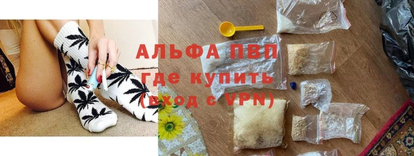 молекула духа Ладушкин