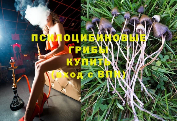 дурь Кулебаки
