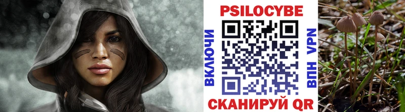 Псилоцибиновые грибы MAGIC MUSHROOMS  Купить где  Калининград 